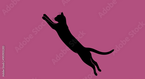 Black cat jumping in air 1.
