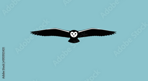 Owl flying in the air.