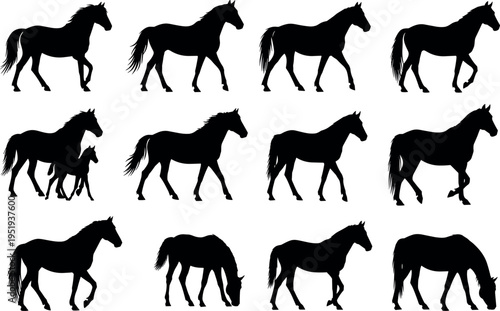 Horse silhouette vector illustration with diverse poses, walking foal, grazing animals, creative design elements, decorative artwork, animal movement composition
