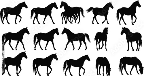 Horse silhouettes in various poses, standing, walking, trotting, grazing, dynamic motion, anatomy study, equestrian art, animal vector illustration design