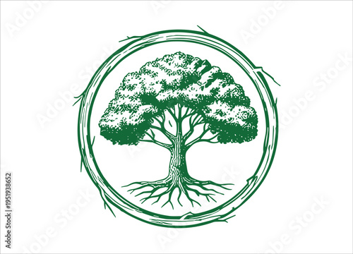 Detailed green tree illustration within a circular frame on transparent background silhouette high quality professional detailed modern elegant stylish clean crisp