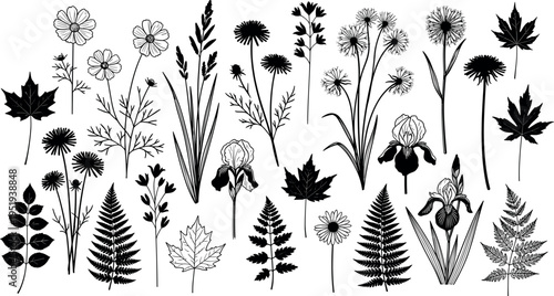  Black silhouette vector illustration of diverse botanical elements including flowers, leaves, plants, and nature-inspired decorative shapes for design