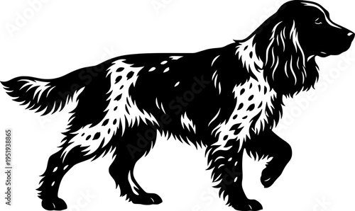 Silhouette of an English Springer Spaniel
