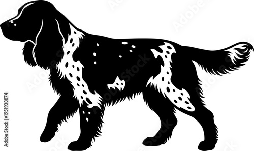 Silhouette of an English Springer Spaniel
