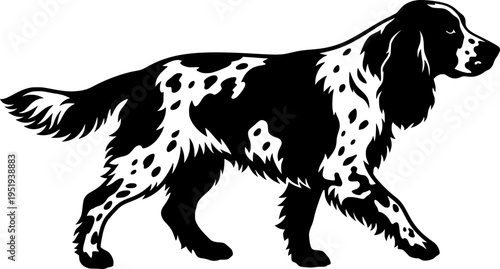 Silhouette of an English Springer Spaniel
