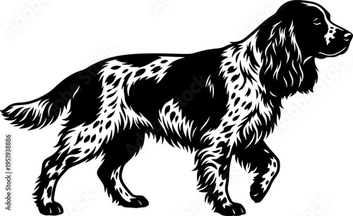 Silhouette of an English Springer Spaniel
