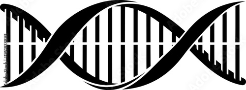 Black and white illustration of a dna double helix detailed drawing. Vector illustration
