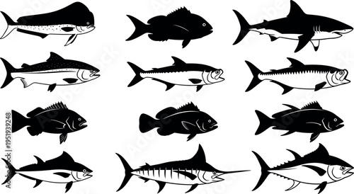 Black silhouette vector illustration of diverse fish species, marine life, side profiles, fin variations, aquatic biology, fishing, ocean design artwork