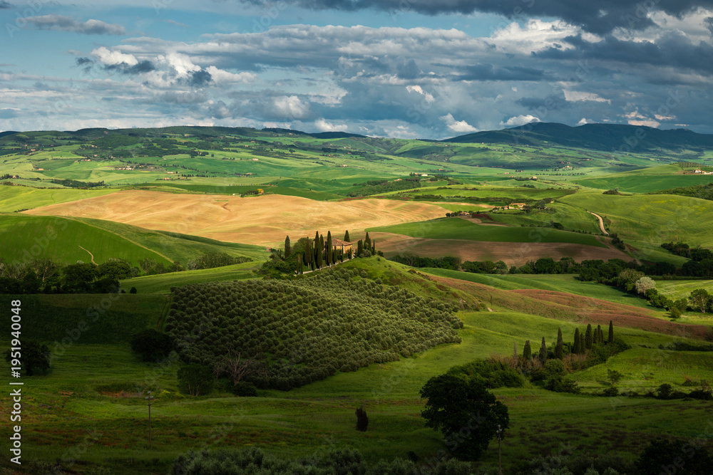 Obraz premium Vibrant green landscape of Val d'Orcia, Tuscany, featuring iconic rolling hills and cypress trees under a soft morning light. A perfect representation of Italian rural beauty and tranquility.