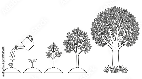Tree growth stages from seed germination to mature tree with watering can