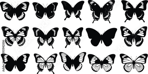 Butterfly silhouettes, diverse wing patterns, insect diversity, symmetrical and solid designs, entomology illustration, black vector graphics