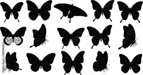 Silhouettes of butterflies in diverse wing shapes, vector illustration showing insect patterns, posture variations for creative, artistic, and educational use