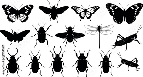 Black silhouettes of diverse insects including butterflies, beetles, and dragonflies, vector artwork for entomology, nature, and design content