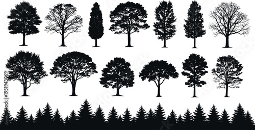 Tree silhouette vector illustration with diverse foliage, coniferous forest edge, natural landscape design, minimal black artwork, botanical composition, decorative nature elements