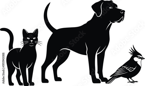 Silhouettes of cat, dog, and bird together, stylized vector illustration, domestic and wild animals, creative design artwork for projects