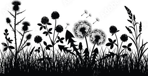 Wild plants and grasses silhouettes, botanical vector illustration, diverse flora design icons, nature ecosystem art, dandelion clover thistle collection