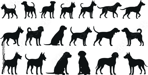 Silhouette collection of diverse dog breeds, standing, sitting, walking, side profiles, vector illustration for design, cataloging, classification, SEO optimization