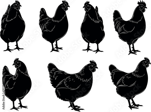 Chicken silhouettes vector illustration, farm poultry artwork, domestic bird design elements, creative decorative animal patterns, agricultural livestock figure collection