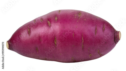 Cuadro en lienzo Fresh vibrant purple sweet potato, a healthy and organic root vegetable, isolate