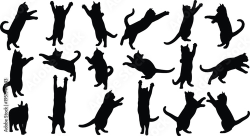 Jumping, leaping, playful cat silhouettes in dynamic poses, feline motion, animal behavior, pet activity, artistic vector illustration design