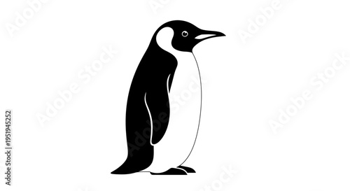 Minimalist black and white penguin bird illustration on white background