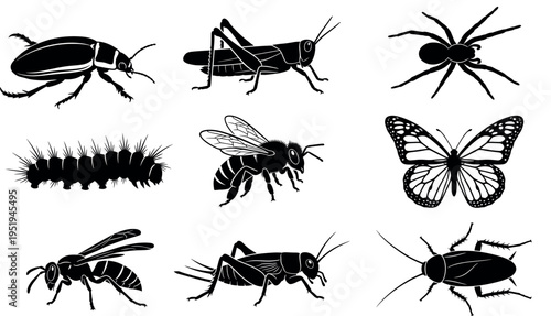  Silhouette vector illustration of diverse insects and arachnids including beetle, grasshopper, spider, caterpillar, bee, butterfly, wasp, cricket, cockroach