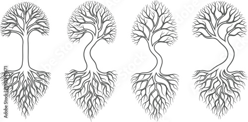 Four stylized illustrations of trees with exposed root systems demonstrate abstract, flowing, and curved vertical.