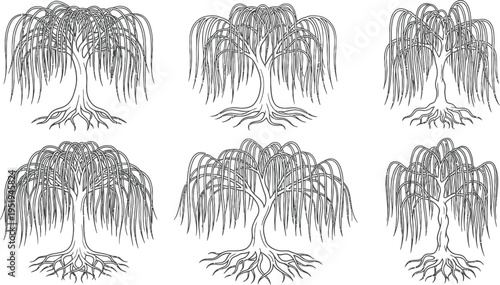 Six different black and white engraved illustrations display variations of a mature weeping willow tree with exposed.