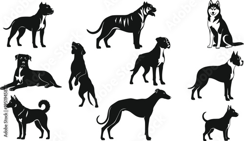 Silhouettes of diverse dog breeds, vector illustration showing standing, sitting, jumping postures and body shapes for creative, artistic, and educational use