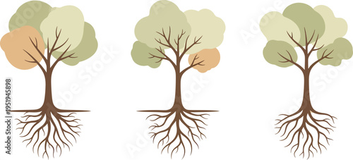 Three different deciduous trees depicted showing seasonal color variations, with visible root systems below ground.
