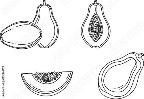 A collection of papaya outlines shows whole fruits, a halved fruit revealing seeds, and a slice in simple line art.
