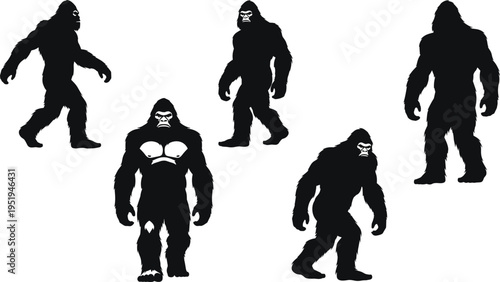 Gorilla silhouettes in different poses, unique central figure with white chest and face details, wildlife illustration, animal behavior, jungle strength, primate concept