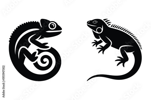Chameleon and iguana vector icons illustration with cold blooded