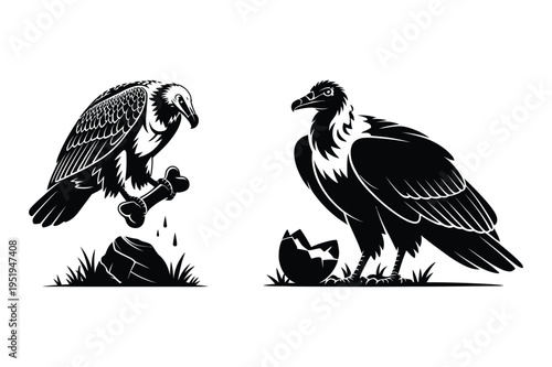 Vector illustration of vultures with bone and eggshell