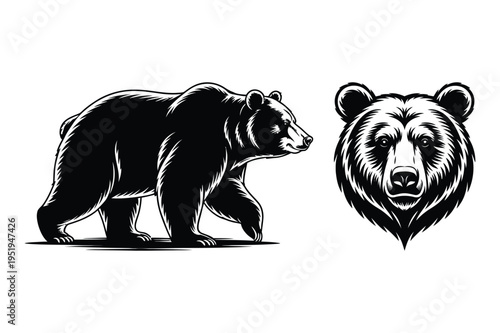 Vector illustration of walking bear and head silhouette