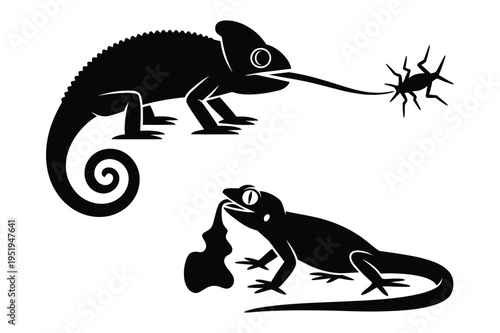 Silhouette illustration of chameleon catching insect and lizard