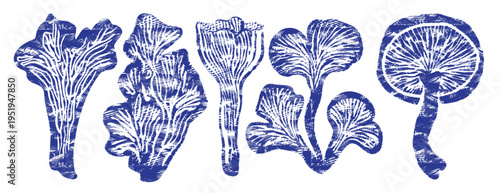 Indigo blue linocut mushroom vector set. Botanical fungi collection in block print style, rustic forest chanterelle and shiitake illustration. Vintage engraved woodcut fungi for organic design