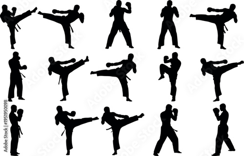 Vector illustration of martial artist silhouettes, dynamic fighting stances, kicking poses, self-defense techniques, combat training, discipline icons