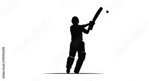 A cricket batsman prepares to hit a ball dark silhouette