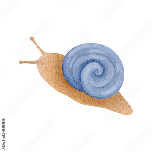 Fotografía Cute watercolor snail with colorful shell