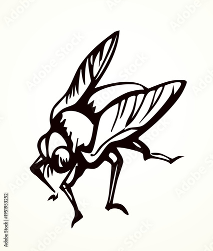 Vector drawing. Dogfly. One of the Plagues of Egypt.
