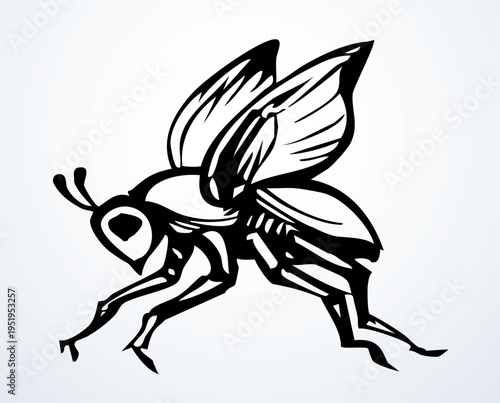 Vector drawing. Dogfly. One of the Plagues of Egypt.