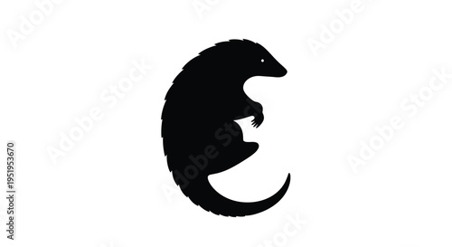 A striking black silhouette of an opossum clinging to a branch