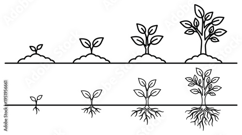 Plant growth stages, sprout, seedling, sapling evolution set, isolated line art