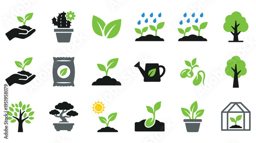 Growing plants and trees process, isolated nature and gardening icons set