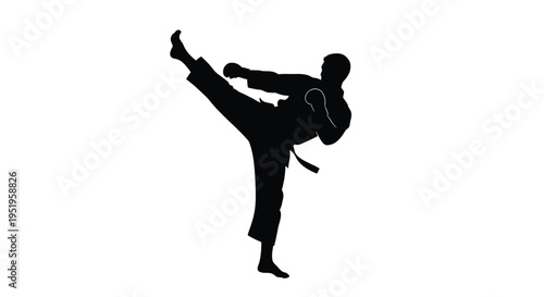 Vector silhouette of a person kicking in martial arts