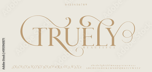 TRUELY premium luxury elegant alphabet letters and numbers. Elegant wedding typography classic serif font decorative vintage retro. Creative vector illustration