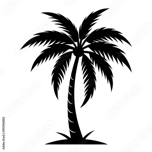 palm tree silhouette