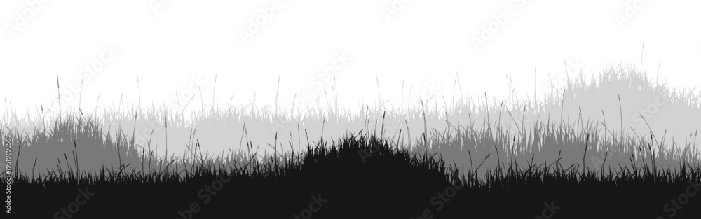 Obraz premium Meadow silhouette with grass, plants on plain. Panoramic summer lawn landscape with herbs, various weeds. Herbal border, frame element. Black horizontal banners. Vector illustration