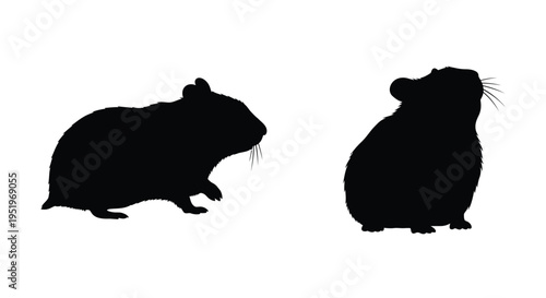 Two adorable hamster silhouettes against a plain white background silhouette